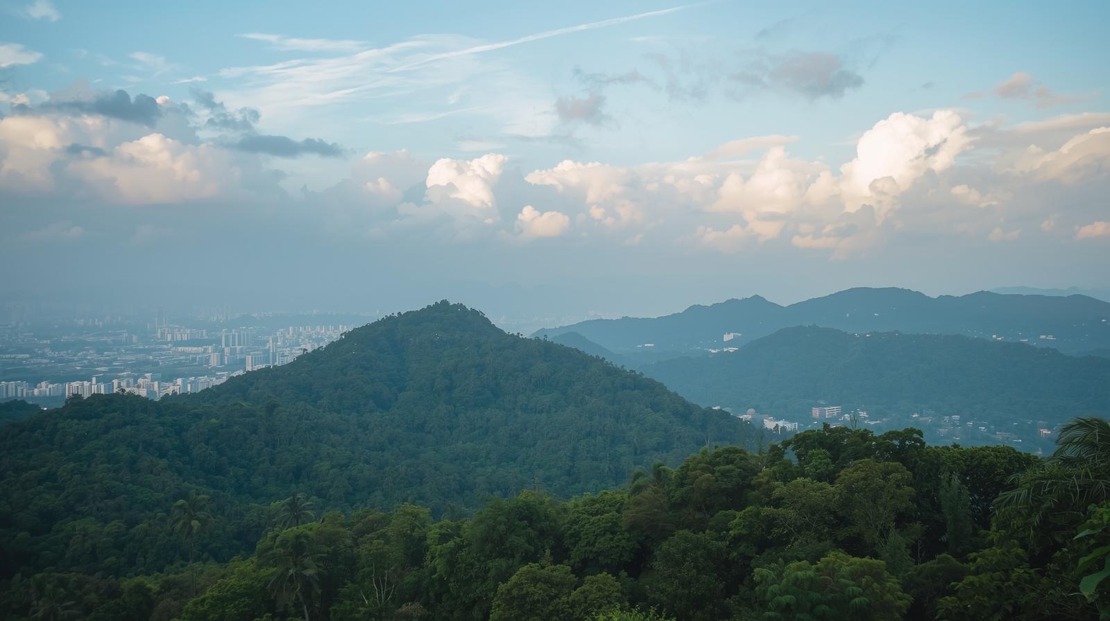 هل سيبو أنسب للطالب الاجتماعي؟