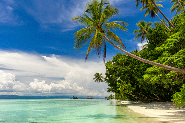 أفضل 10 جزر في الفلبين